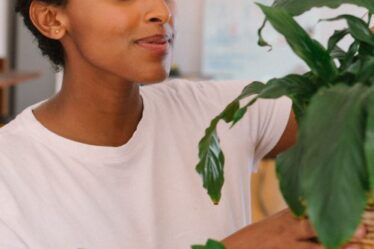 Zwarte vrouw die haar planten water geeft. verzorgt, groene en betaalbare oase in huis, planten die luchtzuiverend werken