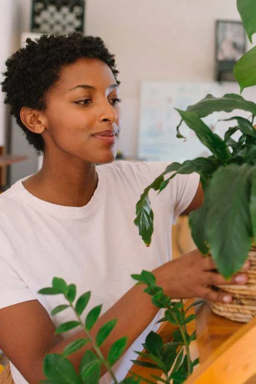 Zwarte vrouw die haar planten water geeft. verzorgt, groene en betaalbare oase in huis, planten die luchtzuiverend werken