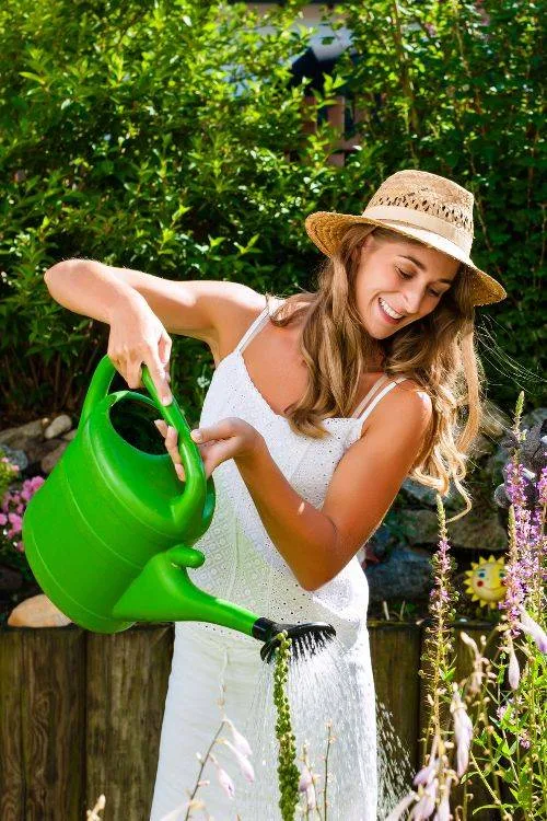 Balkon, terras, erf of tuin: de beste budget tips voor prachtig groen