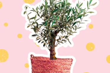 Paasbrunch Paasweekend Pasen